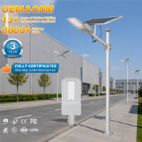 Lampadaire Solaire LED Monocristallin de Style Moderne, Étanche IP65, en Aluminium, à Détection, 60W 80W 100W 150W 200W, Haute Luminosité, Personnalisable