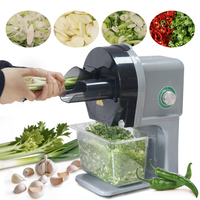 Coupe-légumes électrique automatique et multifonction Trancheuse d'ail et d'oignon vert Tranches de concombre Trancheuse de légumes et de carottes