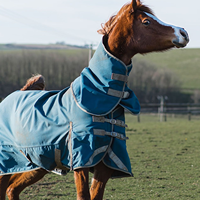 Couverture d'hiver pour cheval Elite Stable, imperméable, anti-déchirure, 1200D, respirante, 350g, chaude et économique