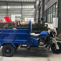 Fabrika Fiyatı 3 Tekerlekli Lucky Star No.2 Kargo Triportörü Kiti Tedarikçisi Ağır Hizmet Tipi Üç Tekerlekli Bisiklet Distribütörler İçin