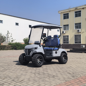 Carro de golf eléctrico Premium Hiseas, función de viento de alto rendimiento incluida - Product Image 2