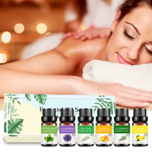 Diffusor ätherische Öle Hersteller, Therapeut ische Qualität Ätherische Öle für Aroma diffusoren, Massen preis, 6/10ml, OEM JA!