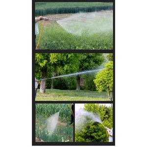 Pompe pulvérisatrice durable à essence 4 temps 139 cm³ pour la construction et l'agriculture – Tendances des équipements modernes - Product Image 3