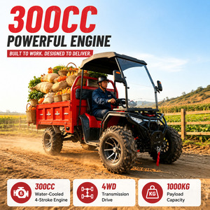 Véhicule utilitaire tout-terrain 4x4 UTV 300cc avec benne basculante de 1,8 m, à essence, pour adultes, <span class=keywords><strong>prix</strong></span> <span class=keywords><strong>d</strong></span>'usine OEM - Product Image 1