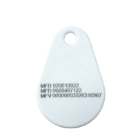 Logo Kustom LF/HF 125Khz Keytag 13.56Mhz ABS Ultrathin RFID Key Fob Tag Card NFC Gantungan Kunci untuk Kontrol Akses