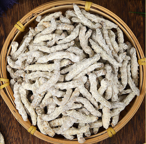 Venta al por mayor seca Bombyx Mori <span class=keywords><strong>Linnaeus</strong></span> cuerpo infectado por Beauveria Bassiana Vuillant - Product Image 2