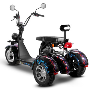 Moto électrique à trois roues de style Harley, fabriquée en Chine, à grande vitesse, pour adultes, sportive et utilitaire, 2000W12AH, autonomie 70KM - Product Image 3