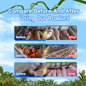 เร่งการเติบโตอย่างรวดเร็วสำหรับสุกรวิตามินเสริมในรูปแบบผงสำหรับลูกหมูม้าแกะน้ำหนักเพิ่ม - Product Image 4