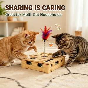 Boîte à puzzle en bois pour chat avec labyrinthe et plumes, anti-ennui pour chats - Product Image 3