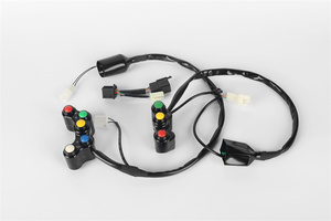 Piezas de accesorios de motocicleta CNC, interruptor de botón de encendido y apagado de manillar de versión urbana para <span class=keywords><strong>Kawasaki</strong></span> Ninja400 <span class=keywords><strong>Z400</strong></span> <span class=keywords><strong>2018</strong></span> 2021, de alta calidad - Product Image 6