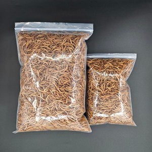 Alimento para Animales con Alto Contenido de Proteínas, Directo de Fábrica, 100% Natural, Gusanos de Harina Secos para Cría de Aves y Reptiles - Product Image 6