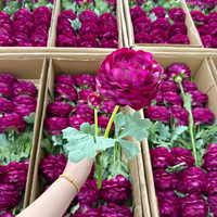 Bunga Ranunculus Artifisial Real Touch Realistic, Dekorasi Rumah, Pernikahan, Natal Eropa, Rangkaian Bunga Berlapis Seribu