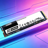 PUSKILL M.2 NVMe PCIe Internal SSD 250GB 500GB 1TB 2TB 3D NAND Flash Solid State Drive Harga Grosir