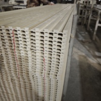 Panneaux muraux intérieurs en WPC résistants aux intempéries, imperméables et ignifuges pour hôtels et usage domestique, design européen moderne