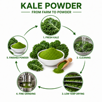 Poudre de Kale Superalimentaire Qualité Alimentaire Poudre de Légumes Verts Marque Privée OEM ODM Vente en Gros