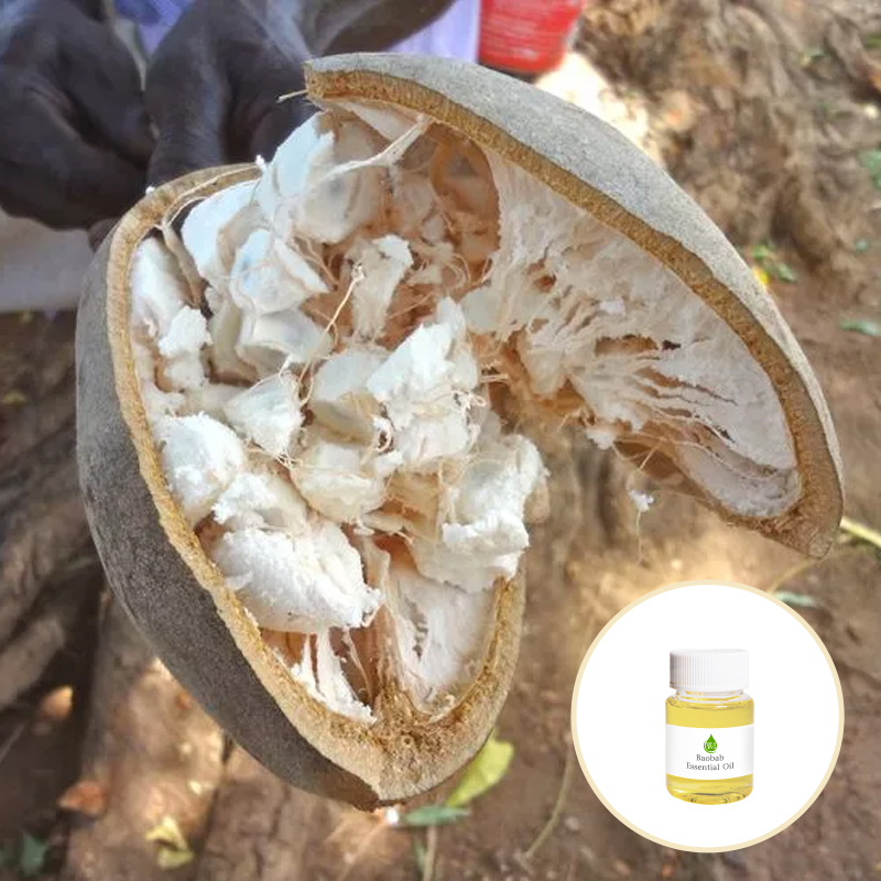 CAS 68647 73 4 Baobab Essential Oil Cosmetic Grade For Hair