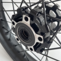 Ensemble de jantes à rayons noirs à tirage droit solide 16x2.15 avec moyeu arrière anodisé noir pour pièces de motocross tout-terrain Surron Light Bee