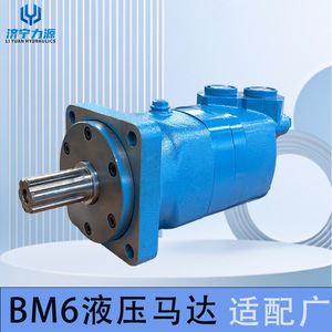 Moteur hydraulique Power Source Bm6 20,5 bars, type à engrenages cycloïdaux, pour plateforme de forage et machine de moulage par injection - Product Image 5