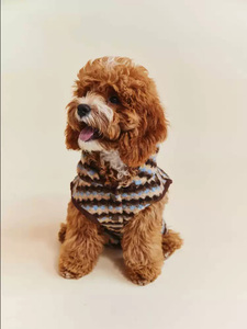 À la mode chaud <span class=keywords><strong>gilet</strong></span> chien gros circulaire tricot laine <span class=keywords><strong>gilet</strong></span> vêtements Pet garniture manteau pour petits chiens de race - Product Image 6