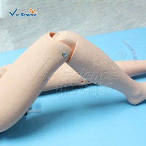 Maniquí combinado para práctica de enfermería masculina, cateterización intravenosa, modelo de enseñanza de primeros auxilios y RCP - Product Image 3