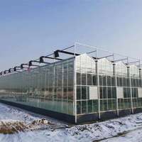 Grande serre agricole victorienne multi-travées avec système hydroponique, structure en PVC et couverture en film PE de type Venlo, à vendre