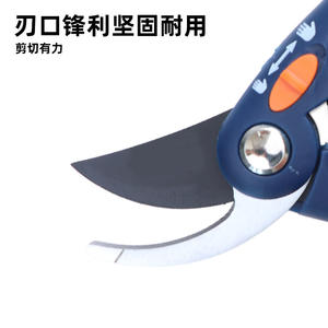 Sécateurs à lame réglable Kjt en acier au carbone 200 mm bleus, outil professionnel pour la taille des arbres fruitiers, pour le jardin et l'usage domestique - Product Image 2