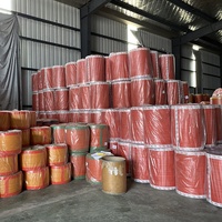 Benutzer definierte 54*78cm 50*72cm Gemüse Obst Kartoffel Zwiebel Landwirtschaft Verpackung PE Raschel Mesh Bag Roll