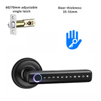 Kunci Pintu Pintar Harga Kompetitif dengan Gagang Tuas Sidik Jari, Bahan Zinc Alloy Aluminium, TTlock, Aplikasi Tuya, Penyimpanan Cloud