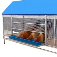 Nouvelle cage galvanisée de type anti-pluie, haute qualité, capacité 15 oiseaux, prix abordable