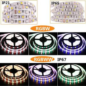 12V 24V RGB/RGBW/RGBWW SMD5050 SMD LED-Licht leiste 60Leds/<span class=keywords><strong>m</strong></span> Anpassbar IP65/IP67/IP68 Wasserdicht - Product Image 4