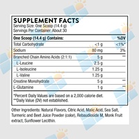 SUNI OEM/ODM – Nouvelle Formule Personnalisée de Créatine Monohydrate et BCAA en Poudre pour la Croissance Musculaire, la Force et la Concentration (Marque Privée)