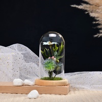 Mini plante verte en verre sur dôme, décoration de maison, micro-andscape, bureau, bureau