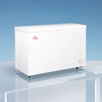 Congélateur à ouverture par le haut 498l Armoire à glace Congélateur commercial horizontal à double porte utilisé pour congeler la viande de poisson
