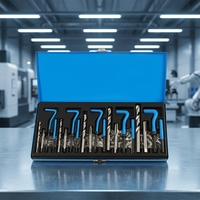 Kit d'outils de réparation de vis en acier inoxydable OEM de 60 pièces avec garantie d'un an, jeu de clés à douilles (acier inoxydable 304)