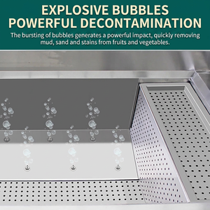 Lave-légumes multifonctionnel avec désinfection à l'ozone et nettoyage par bulles vortex pour la transformation alimentaire - Product Image 5