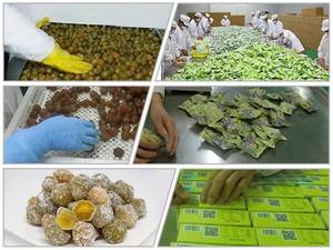 Complément Premium Naturel à Base de Prune Fermentée pour Nettoyer le Métabolisme, Enzymes à Double Action pour une Détoxification Douce et un Soulagement Digestif - Product Image 6