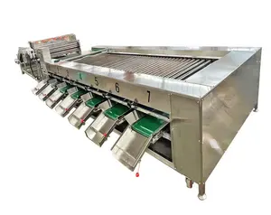Stainless steel automatic weight sorting machine fish grader Crayfish shrimp sorting machine