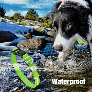 Tize-Collar Led fluorescente para perro, collarín reflectante de nailon, recargable - Product Image 6