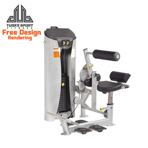 Máquina de gimnasio comercial de doble función con carga de placas para fitness, máquina selectora de ejercicios abdominales y extensión de espalda baja - Product Image 1