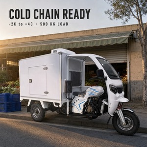 Triciclo de Carga Refrigerado de 250CC a Gasolina con Caja Aislada, Capacidad de Carga de 500KG, Triciclo de Tres Ruedas para Entrega de Carne Fresca - Product Image 2