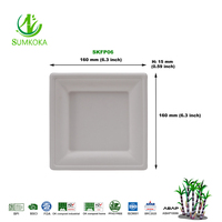 SUMKOKA Assiettes carrées jetables élégantes de 6 pouces en bagasse, conformes BPI FDA ISO, résistantes aux taches et compatibles micro-ondes, vente en gros