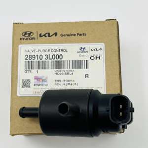 Válvula de Control de Purga 28910-3L000 para Hyundai Kia 289103L000 - Product Image 1