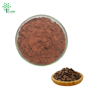 ผงสกัดจากเปลือกสน10:1 20:1 95% OPC proanthocyanidins - Product Image 2