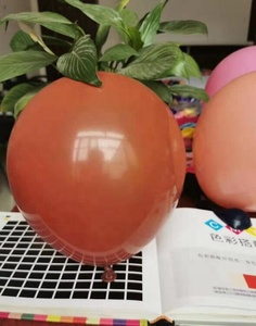 Globos de Látex al por Mayor, Globos de Látex de Eucalipto Blanco Arena de <span class=keywords><strong>Moda</strong></span>, Globos de Arena de Eucalipto - Product Image 4