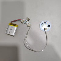 Kit de modules LED RGB rechargeables avec carte de commande Type-C, alimenté par batterie au lithium 5V, mini PCB pour éclairage de table en forme de rose DIY