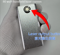 Outil d'allumage laser portatif puissant 80W 220V, tue-moustiques et anti-mouches avec garantie d'un an