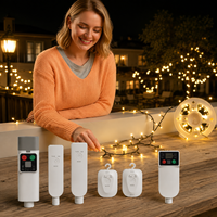 Contrôleur rechargeable pour guirlandes lumineuses, 6 styles, USB Type C, 8 modes, minuterie, mémoire, crochet, ajustement universel, LED écologique