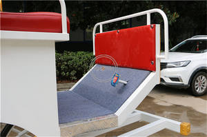 OEM lujo caballo dibujado silla de montar carro real boda victoriana Touring turismo carro para la venta EE.UU. - Product Image 6