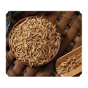 Venda Direta Da Fábrica Natural Seco Mealworm Bread Worms Pet <span class=keywords><strong>Food</strong></span> para Hamsters Pássaros Outros Pequenos Animais - Product Image 6