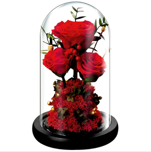 Rose éternelle sous dôme de verre comme la belle et la bête, fleur romantique, cadeau d'anniversaire, mariage, de qualité supérieure, D050864 - Product Image 4